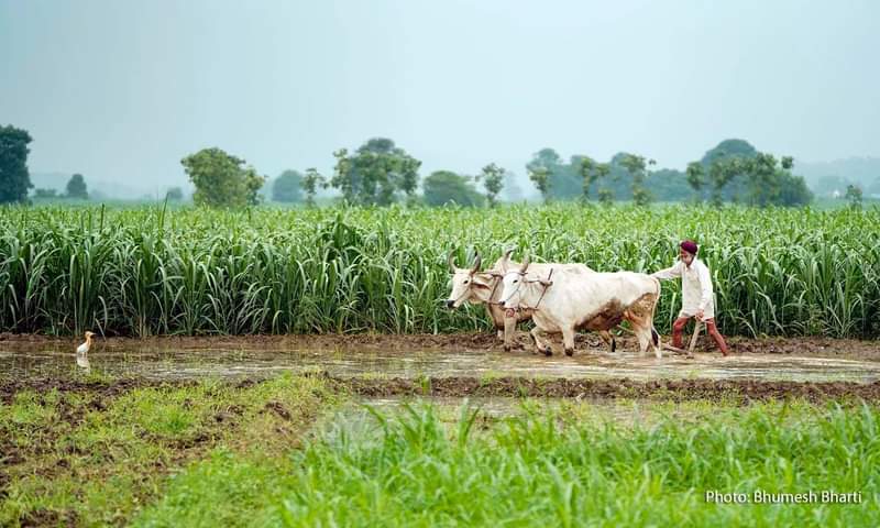 जय जवान! जय किसान! : आओ लौटा लाएं लालबहादुर शास्त्री का हिन्दुस्तान!