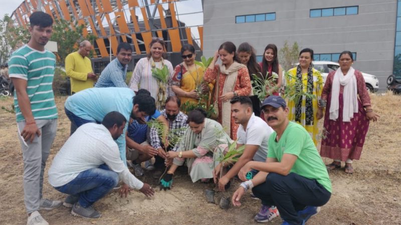 गुलमोहर दिवस के अवसर पर गुलमोहर समेत लगाये गये अन्य लाभकारी पौधे