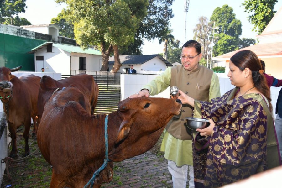 सीएम धामी ने की गौ पूजा, पत्नी गीता धामी भी रहीं साथ