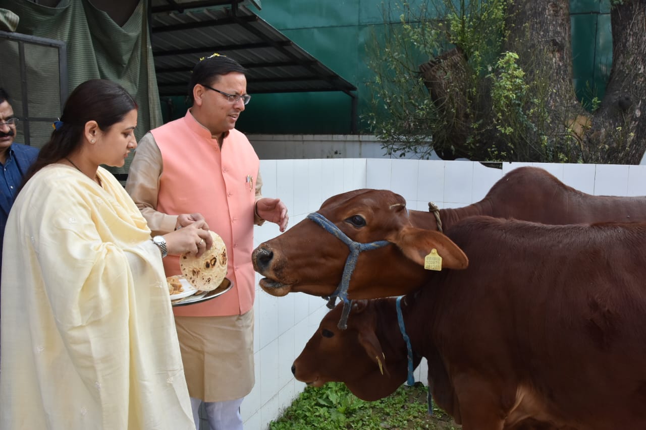 इगास के अवसर पर सीएम धामी ने धर्मपत्नी के साथ किया गौ-पूजन