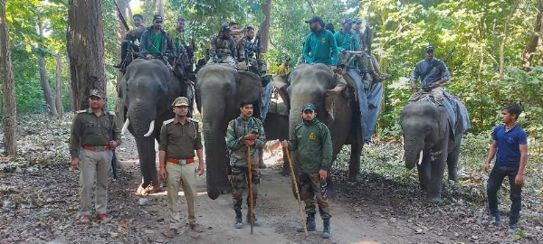 राजाजी टाइगर रिजर्व में रेड अलर्ट जारी