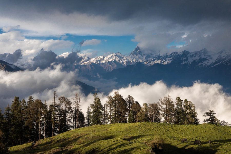 नए साल के मौके पर पर्यटकों के स्वागत के लिए वादिया तैयार