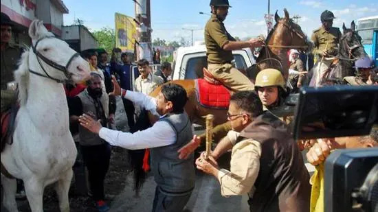 हाईकोर्ट ने शक्तिमान मामले पर की सुनवाई, सरकार से मांगा जवाब