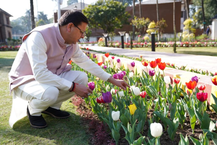 मुख्यमंत्री ने आवास परिसर स्थित ट्यूलिप गार्डन का किया निरीक्षण