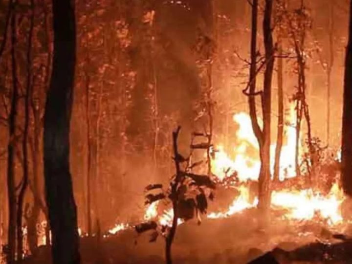 जंगलों में आग लगाने वाले अराजक तत्वों पर ड्रोन से नजर रखेगा वन विभाग