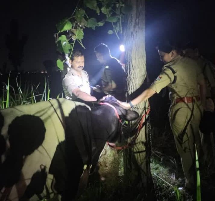 गौ तस्करों से देर रात पुलिस की मुठभेड, एक तस्कर  घायल