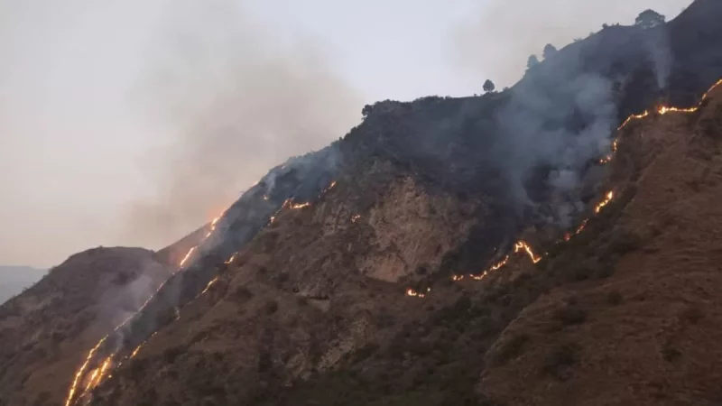 त्यूणी के जंगलों में लगी भीषण आग