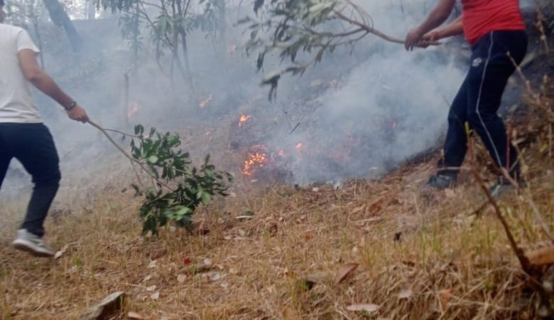 आग से धधक रहे हैं कालीमठ घाटी के जंगल