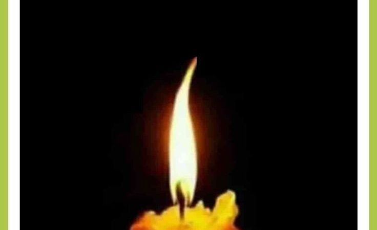 सीएम धामी ने वरिष्ठ पत्रकार कैलाश बडोनी के निधन पर किया दुःख व्यक्त