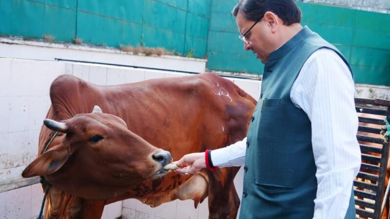 मुख्यमंत्री धामी ने गोवर्धन पूजा के अवसर पर सीएम आवास में किया गौ पूजन