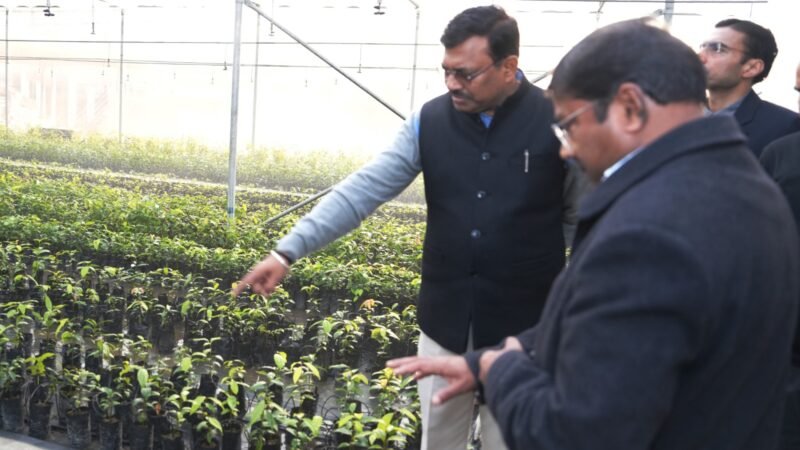 सगन्ध पौधा केन्द्र प्रदेशभर में बढ़ाए अपनी गतिविधियां