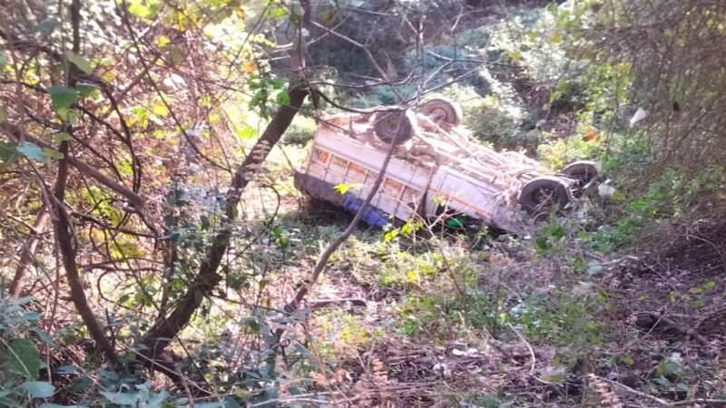 खाई में गिरा वाहन पांच गंभीर