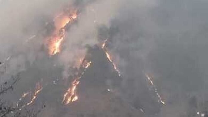 थराली के जंगलों में लगी भीषण आग, आग बुझाने में वन विभाग के छूट रहे पसीने