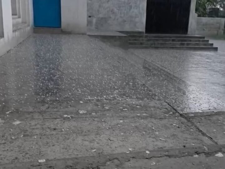 बेमौसमी बारिश और ओलावृष्टि से गेहंू की फसल को भारी नुकसान  की आशंका