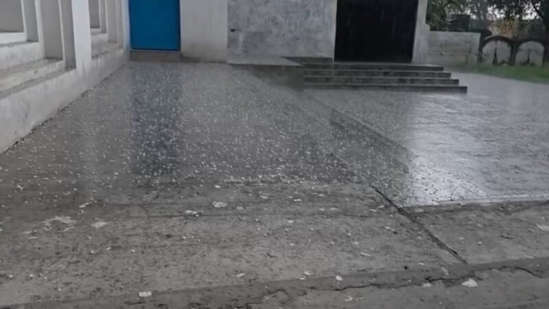 बेमौसमी बारिश और ओलावृष्टि से गेहंू की फसल को भारी नुकसान  की आशंका