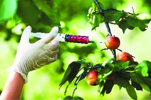 फल सब्जियों में कीटनाशकों के अंधाधुंध इस्तेमाल पर सरकार सख्त