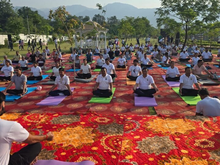 योग की छांव में विकास का संकल्प, एमडीडीए सिटी फॉरेस्ट पार्क बना स्वास्थ्य और प्रकृति का महाकुंभ