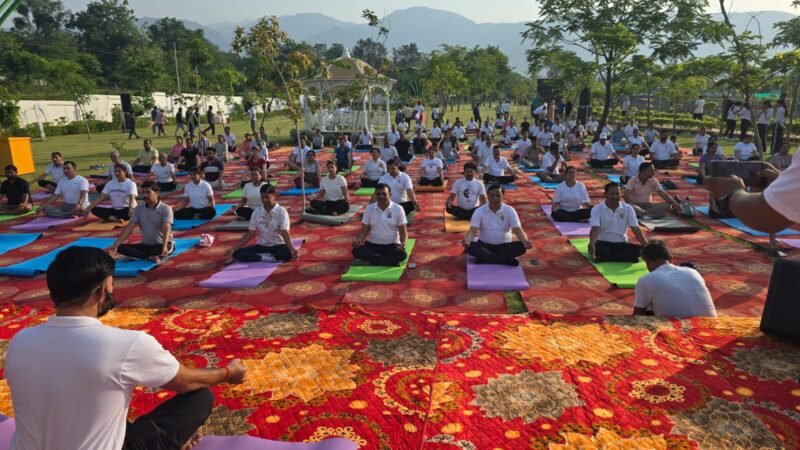 योग की छांव में विकास का संकल्प, एमडीडीए सिटी फॉरेस्ट पार्क बना स्वास्थ्य और प्रकृति का महाकुंभ