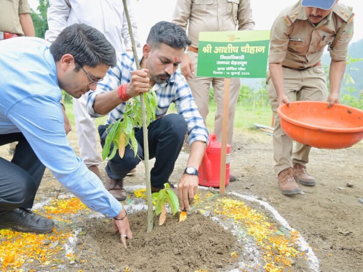 हरेला पर्व पर हरियाली का संकल्प: जिलाधिकारी डॉ.आशीष चौहान ने किया वृक्षारोपण. कहा- पौधारोपण को बनाएं जन-आंदोलन