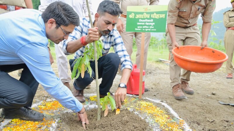 हरेला पर्व पर हरियाली का संकल्प: जिलाधिकारी डॉ.आशीष चौहान ने किया वृक्षारोपण. कहा- पौधारोपण को बनाएं जन-आंदोलन